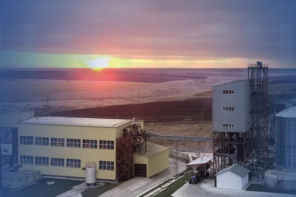 feed pellet production line